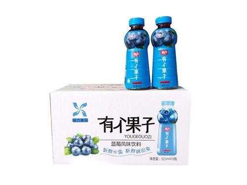 蓝莓风味饮料1*15*520ml